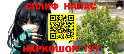 гидра Берёзовский