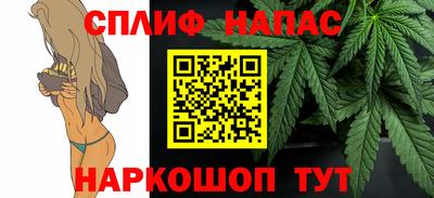 гидра Берёзовский