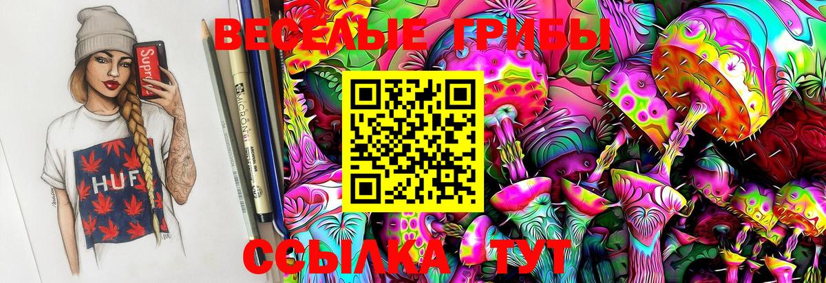 Галлюциногенные грибы Psilocybe Новотроицк