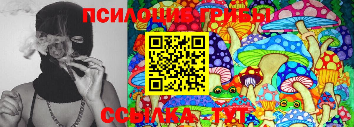 Галлюциногенные грибы мицелий  Псилоцибиновые грибы Magic Shrooms  Вход с VPN  Новотроицк 